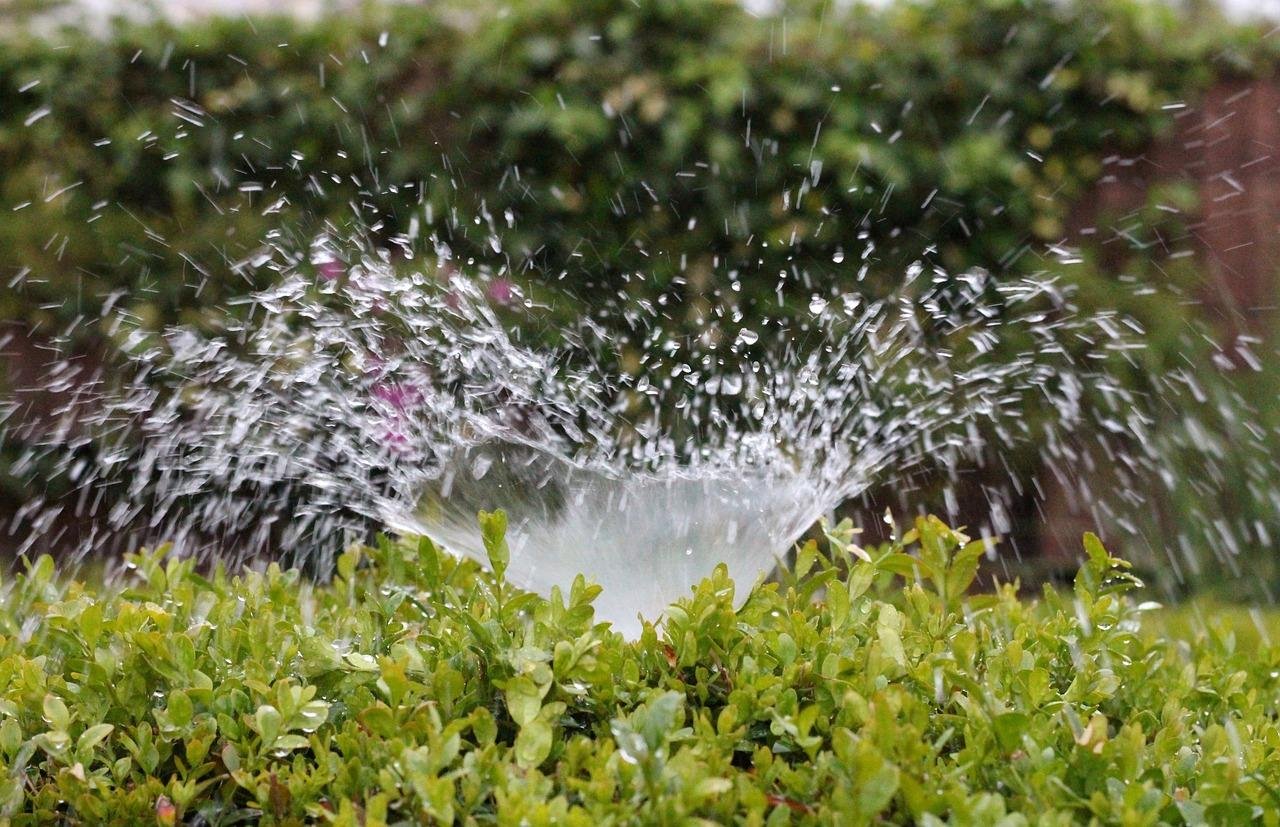 Close-up of a sprinkler spraying water over a lush green lawn.